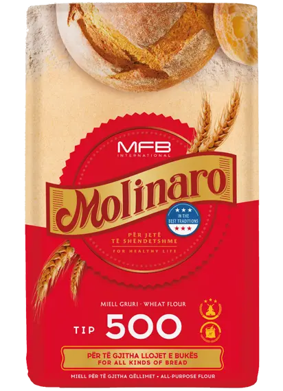 MOLİNARO TİP 500